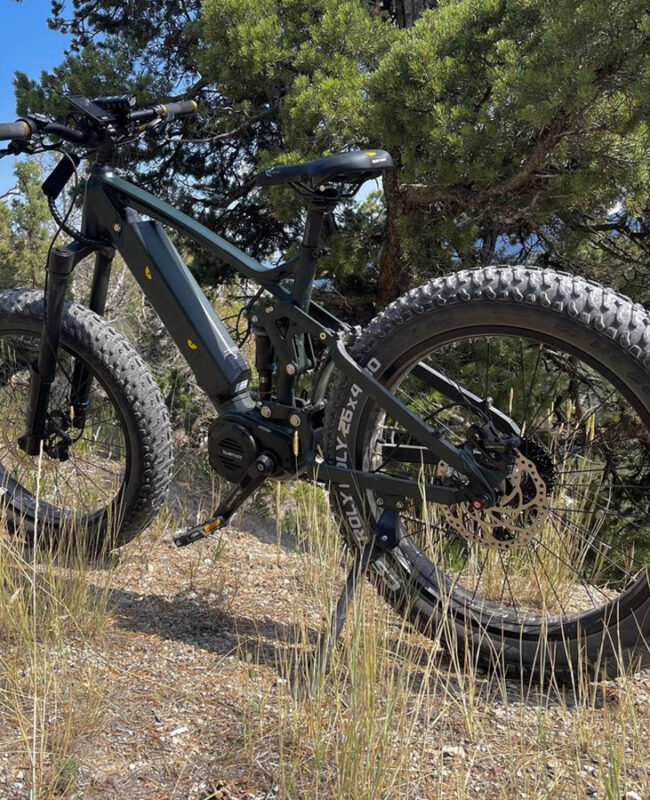 Fat Tire